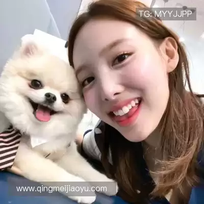 农杉菁